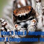 Jumping-Spiders