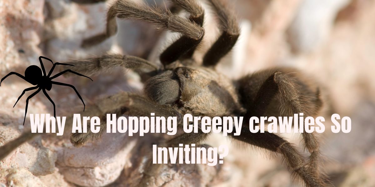 Why Are Hopping Creepy crawlies So Inviting?